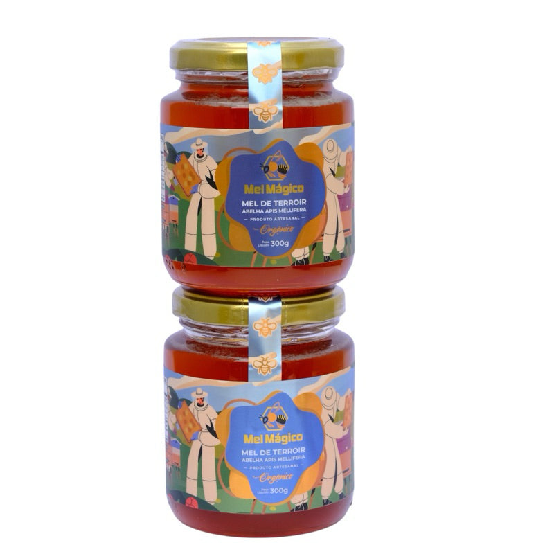 Kit 2un Mel Puro Vidro 300g
