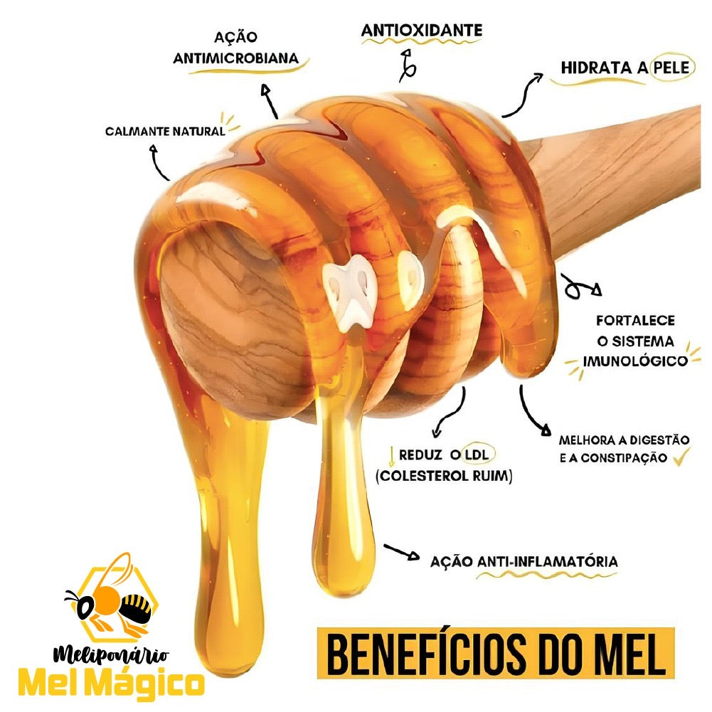 kit 2un Mel Puro Bisnaga 280g