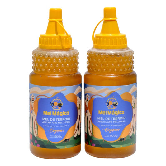 Kit 2un Mel Puro Bisnaga 500g