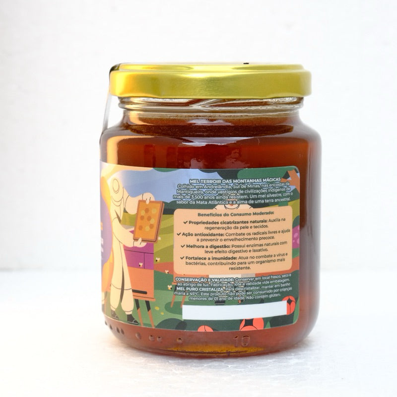 Mel De Abelha 100% Puro Orgânico Vidro 300g  - Florada Silvestre - Mel Mágico