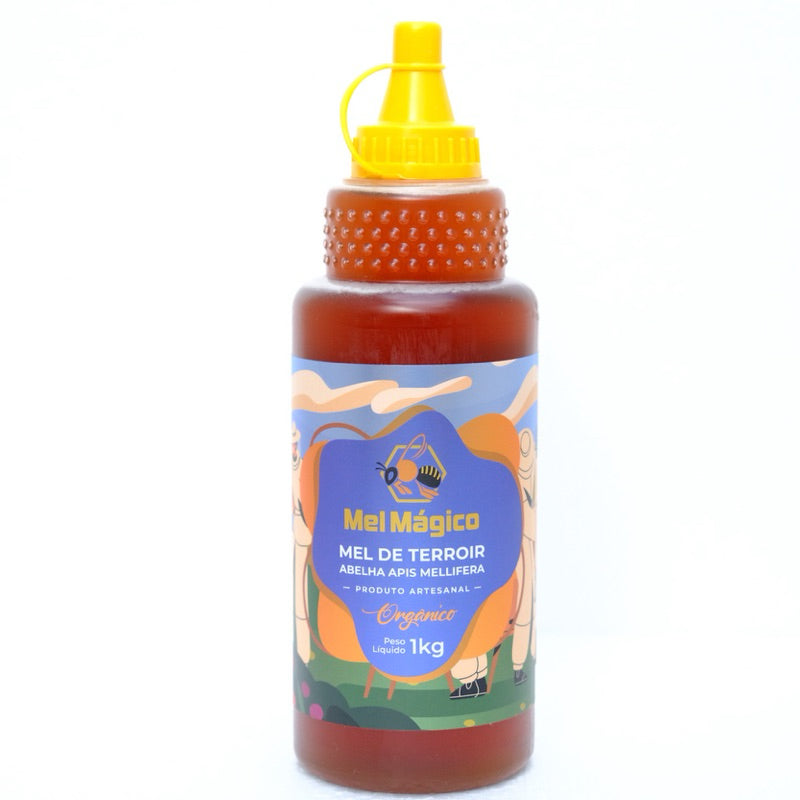 Kit 2x Mel Puro Orgânico Bisnaga 1Kg - Total 2kg De Mel 100% Natural