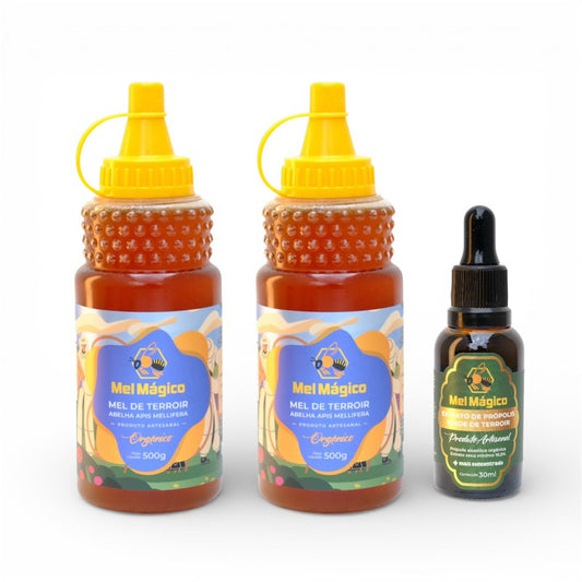 Kit 2un Mel Bisnaga 500g + 1un Extrato De Própolis Verde