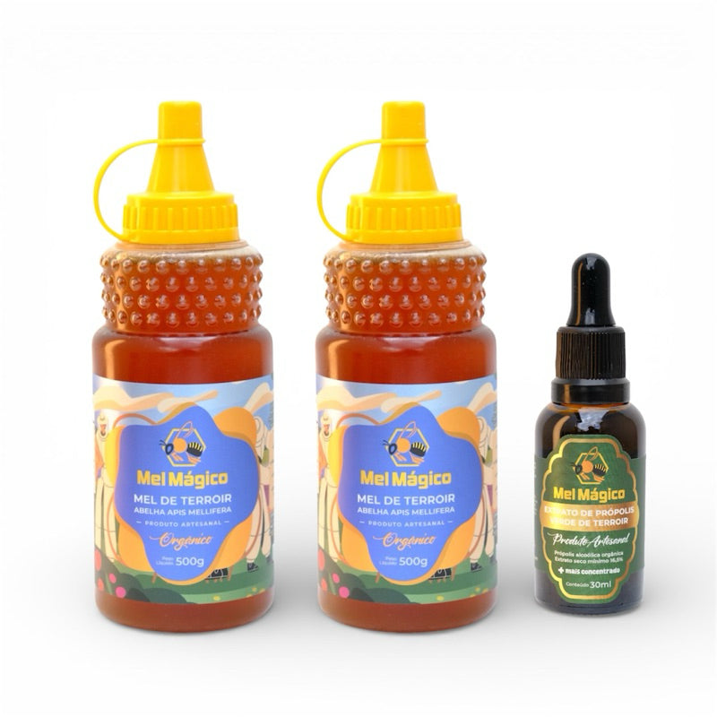 Kit 2un Mel Bisnaga 500g + 1un Extrato De Própolis Verde