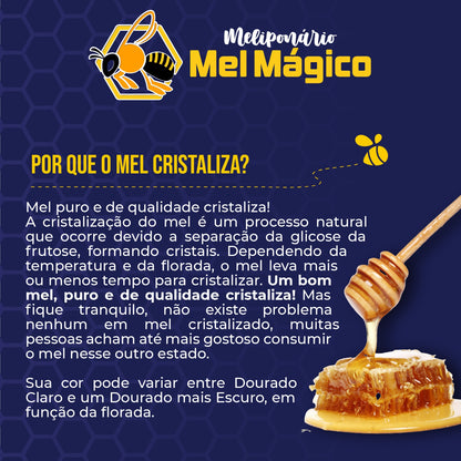Mel Puro Garrafa 1,4kg - Florada Cipó-Uva