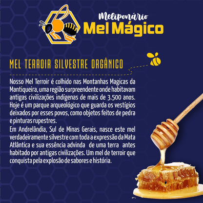 Kit 1un Mel Bisnaga 1kg + 1un Extrato De Própolis Verde