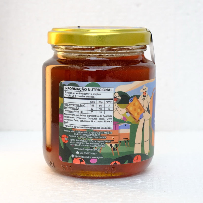 Mel De Abelha 100% Puro Orgânico Vidro 300g  - Florada Silvestre - Mel Mágico