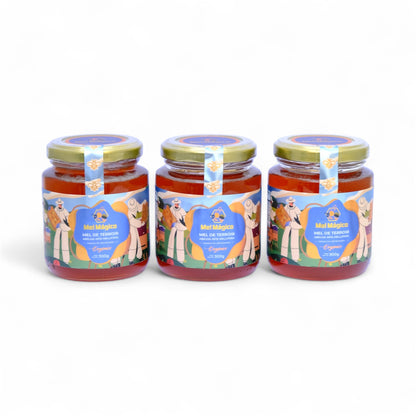 Kit 3x Vidros 300g - Mel Cru Orgânico - Mel Mágico