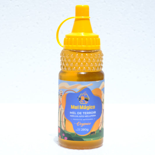 Mel De Terroir Silvestre Binsga 280g