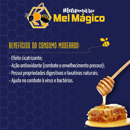 Mel Puro 100% Natural Orgânico Mel Mágico
