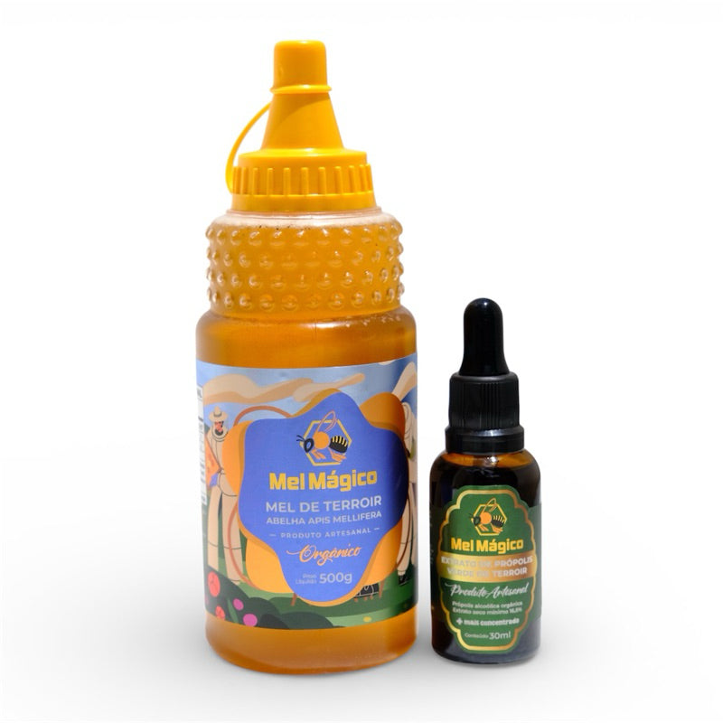 kit 1un Mel Bisnaga 500g + 1un Extrato De Própolis Verde