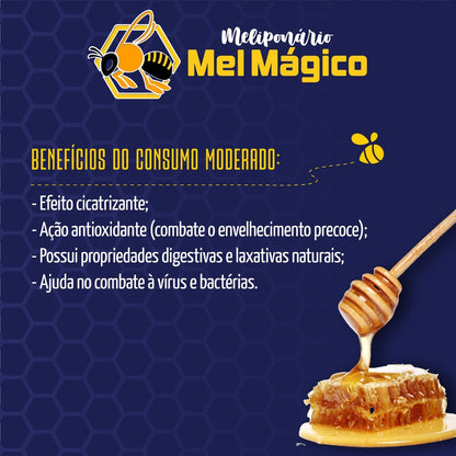 Kit 2x Mel Puro Orgânico Bisnaga 1Kg - Total 2kg De Mel 100% Natural